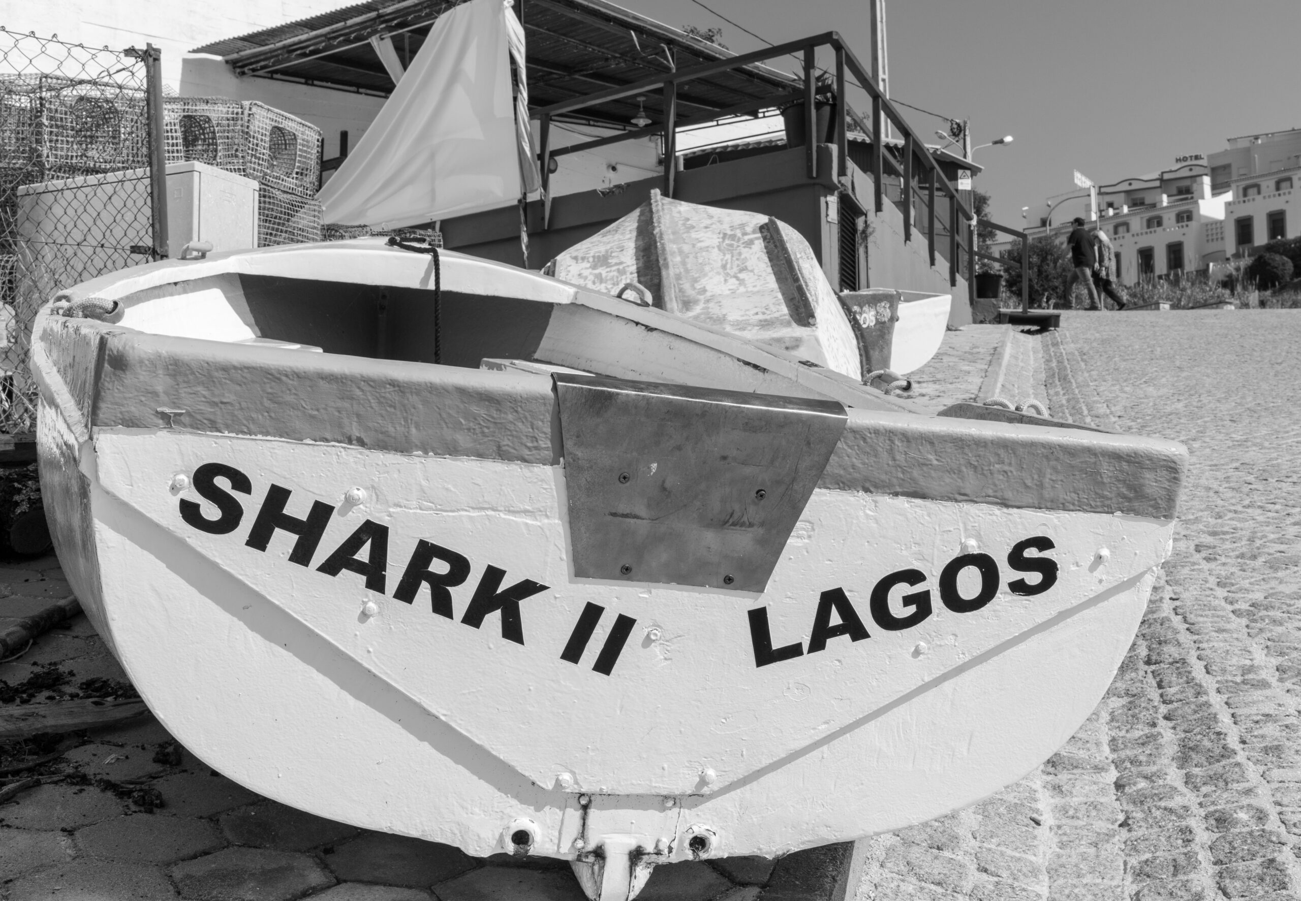 The shark Lagos -1